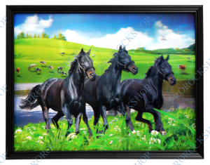 3D obraz s rámem Koně