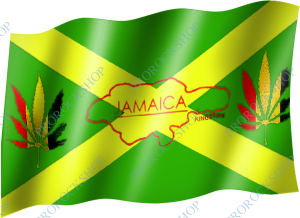 venkovní vlajka Jamajka lev list