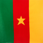 šátek bandana vlajka Kamerun