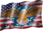 venkovní vlajka USA s orlem
