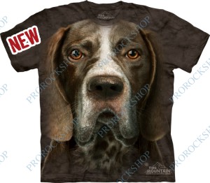 triko pes - german shorthaired pointer head