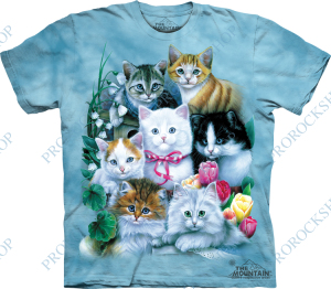triko koťata, kočka - kittens