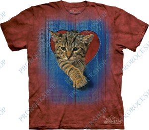 triko kotě a srdce - Heart Kitten