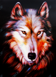 3D obraz Vlk, Wolf Face