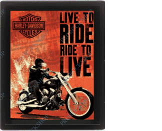 3d obraz Harley Davidson - Live To Ride