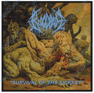 nášivka Bloodbath - Survival Of The Sickest