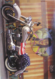 pohled Harley Davidson