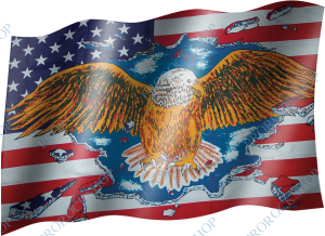 venkovní vlajka USA s orlem