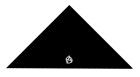 trojcípý šátek Anarchy - logo