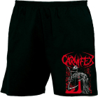 bermudy, kraťasy Carnifex II