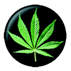 placka, odznak Marihuana - zelený list black