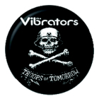 placka, odznak Vibrators