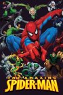 plakát The Amazing Spider-man